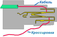 raz.jpg (14304 bytes)